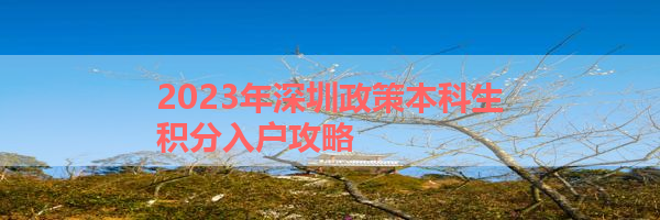 IMG_0195-7.png