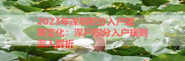 IMG_5930.png