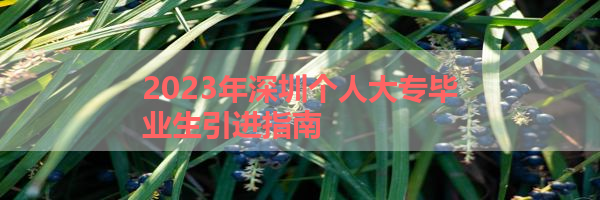 IMG_0075-23.png