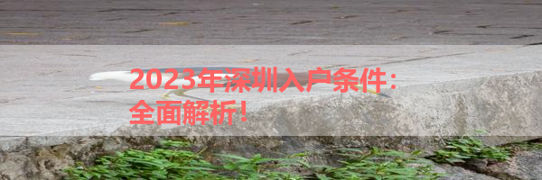 IMG_6204.png