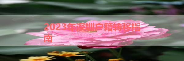 IMG_5886.png