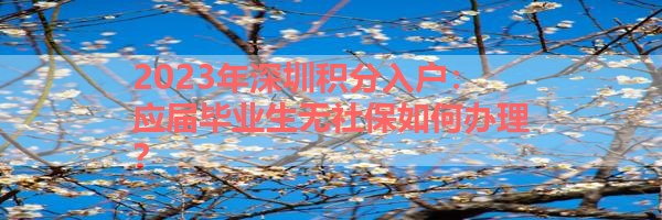 IMG_9986-15.png